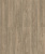 D50137 AF Дуб Мендель