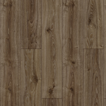 ID76 Дуб Лиотар 