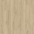 CLH5791 Дуб песочный греш