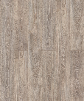 4974 Дуб Джая