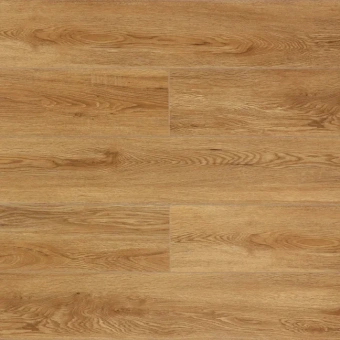 Дуб Медовый