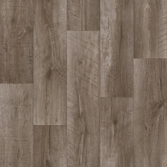 CLUB ALPHA 1; ALPHA 2