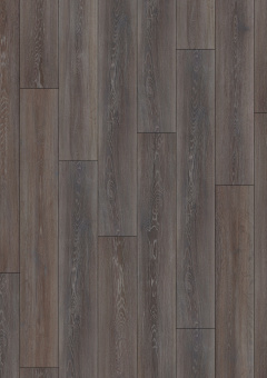 2804 Дуб стирлинг