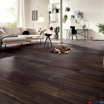 D80022 Горная Сосна темная