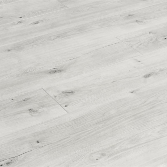 ID72 Дуб Грейс