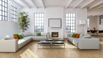 D50567 Дуб Лейнстоун