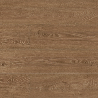 6487 Дуб Брайс