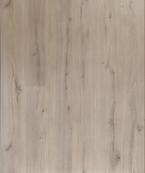 1811  Дуб Каньон