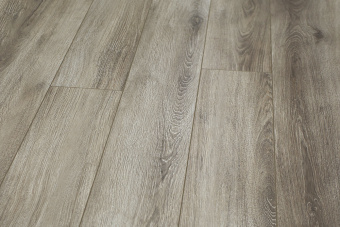 6048-0304 Олеандр