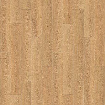 6248 Дуб Веларус натуральный