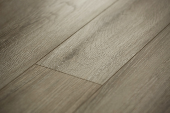 6048-0304 Олеандр