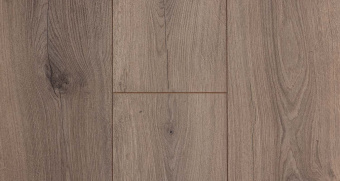 729 Дуб Даккар