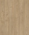 D50567 Дуб Лейнстоун