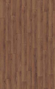 D80612 Дуб Норфолк кофе