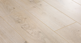 725 Дуб Харольд