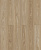 D50587 Дуб Майлен