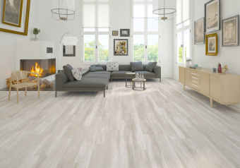 D50167 Дуб Янте